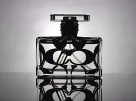 Encuentra el mejor precio de Shiseido Ginza en Perfumería Primor para tu perfume perfecto
