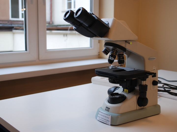 Análisis detallado del Dorito Rojo: descubre por qué es el favorito en los supermercados online