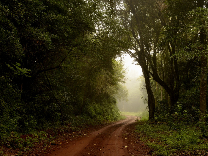 Descubre las mejores fiestas en Colloto 2024: ¡no te las pierdas!