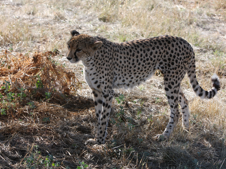 Descubre los Próximos Eventos del Auditorio Príncipe Felipe: ¡No te Pierdas Nada!