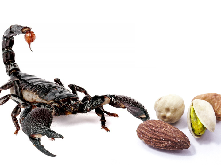 Geistluchs: Descubre los mejores productos de supermercado online en esta selección exclusiva