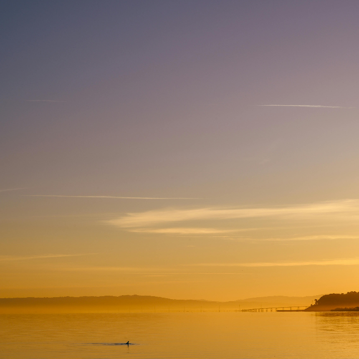 Que ver en Piran, la joya de la costa eslovena